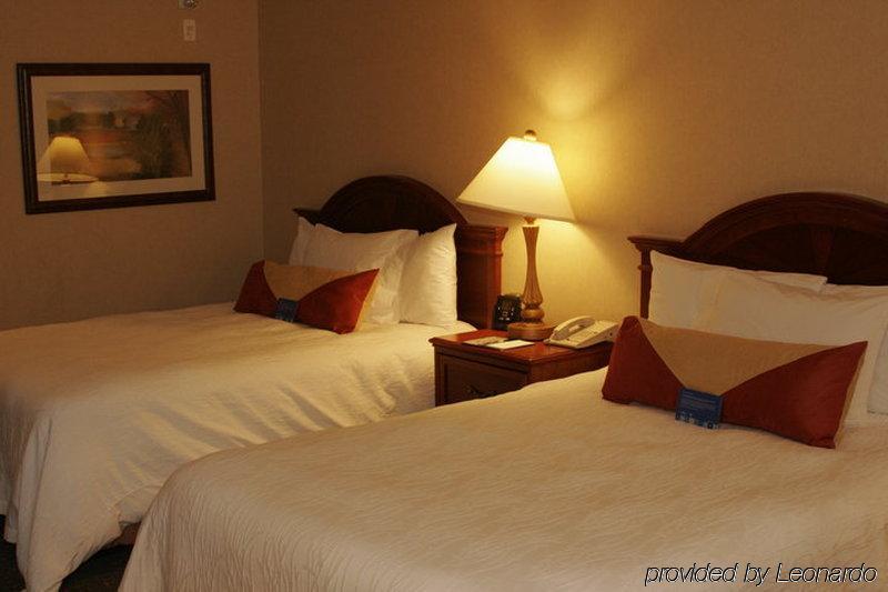 Hilton Garden Inn West Edmonton Szoba fotó